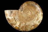 Crystal Filled, Cut & Polished Ammonite (Half) - Madagascar #182918-1